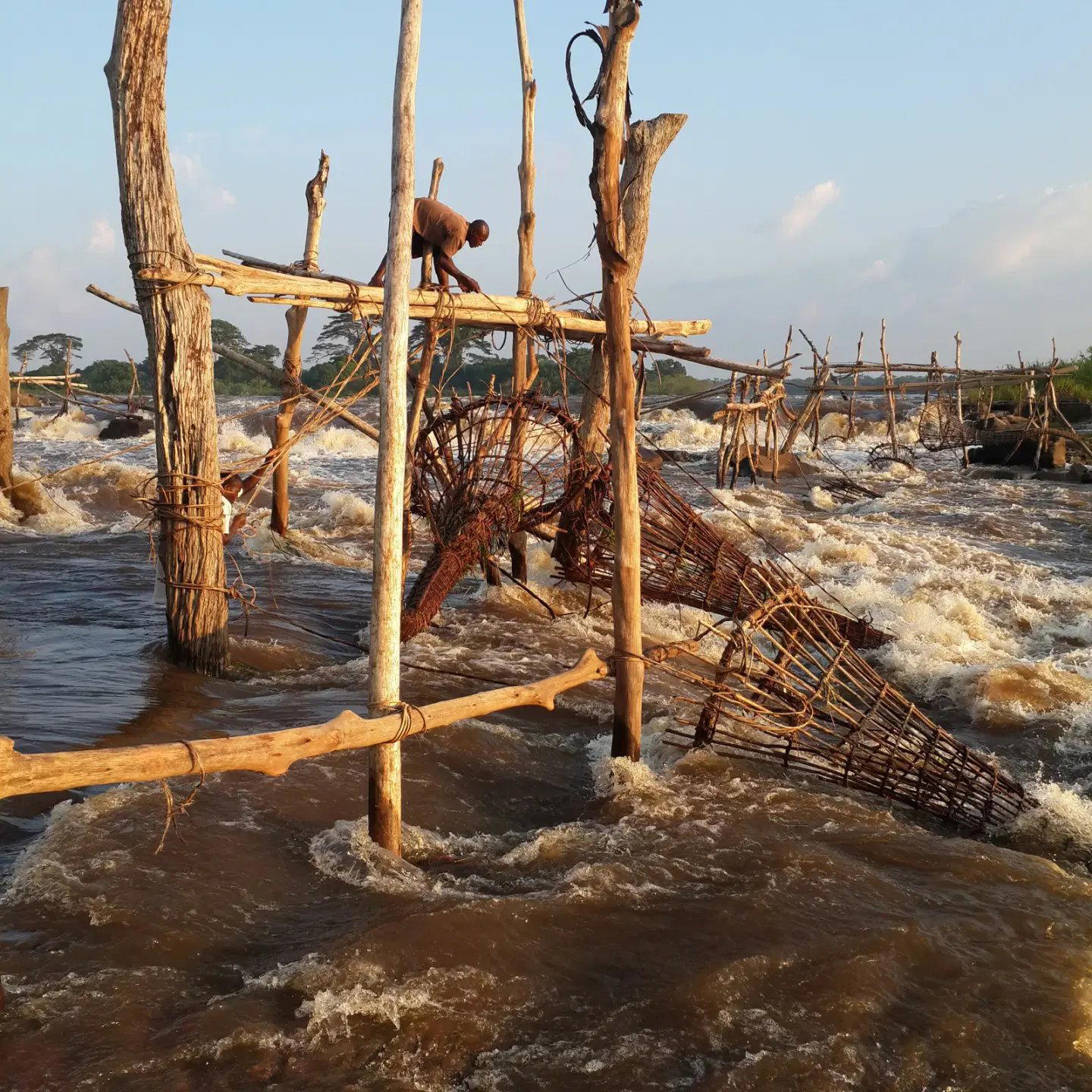 Tshopo, Democratic Republic Of Congo