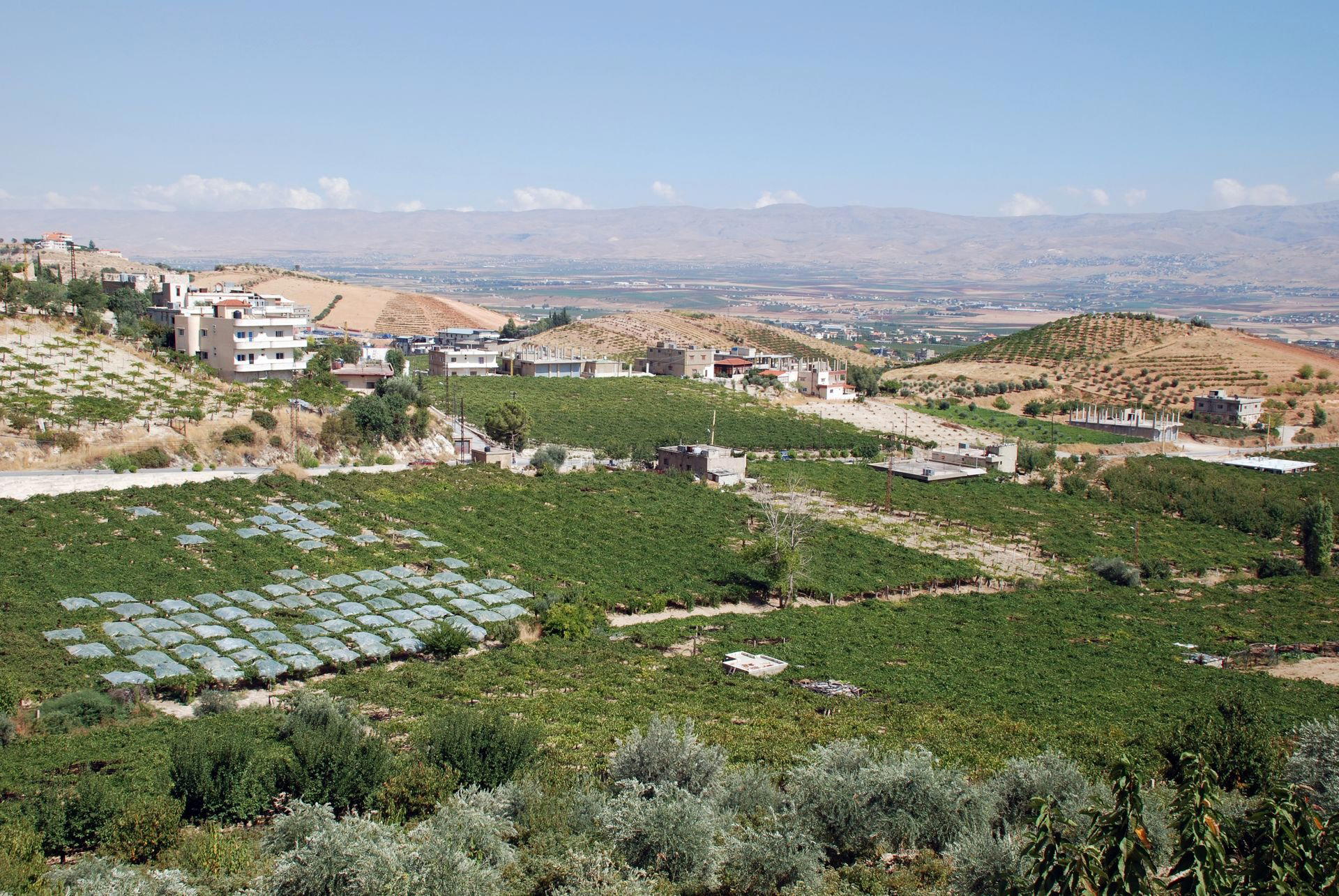 Bekaa Valley, Lebanon