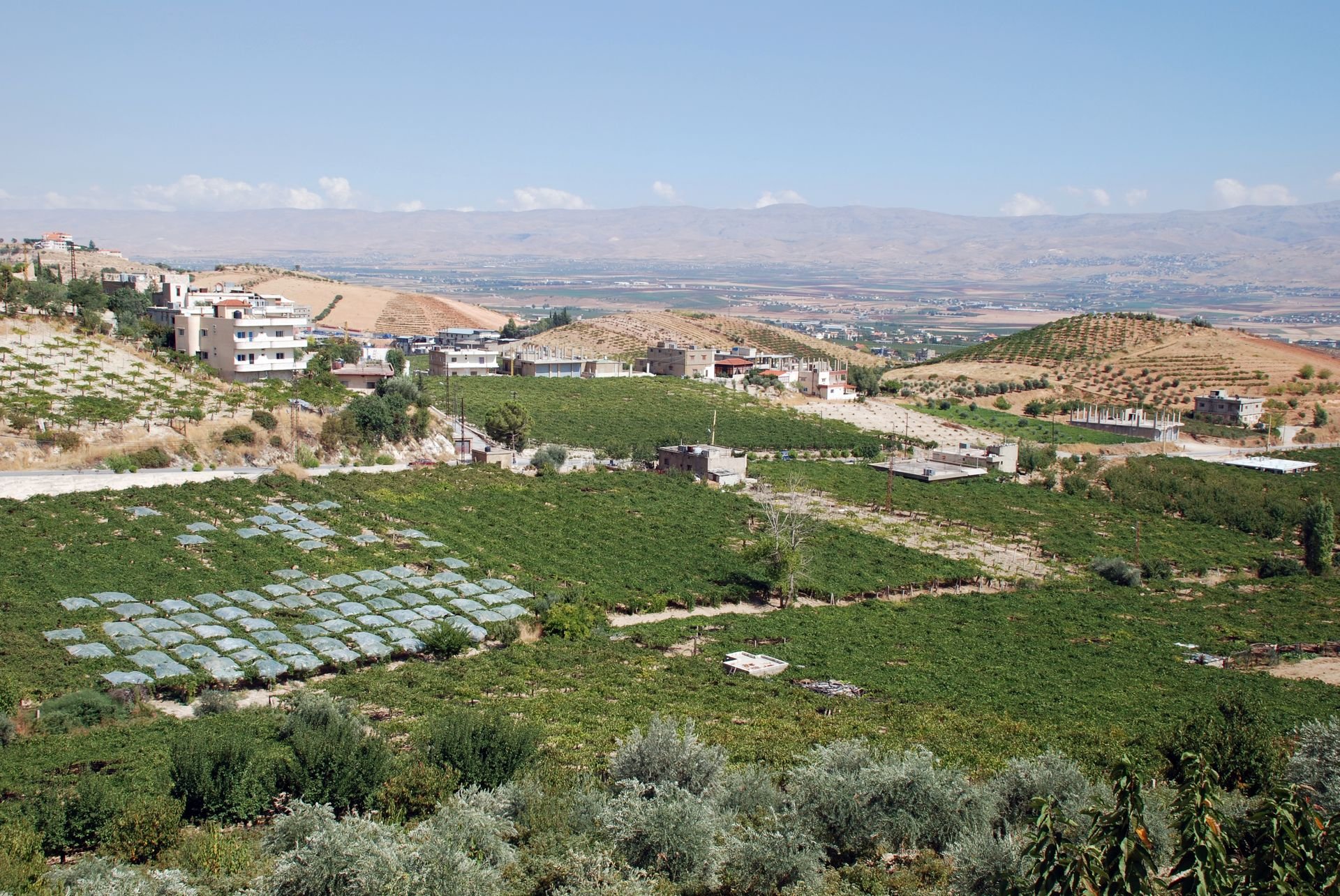 Bekaa Valley, Lebanon