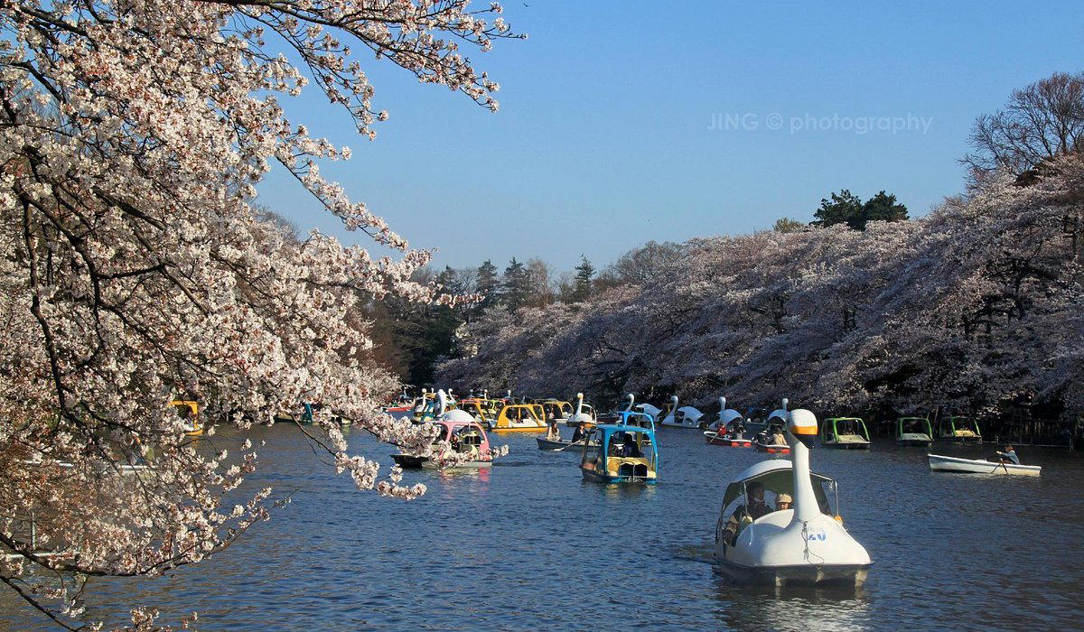 Musashino, Japan