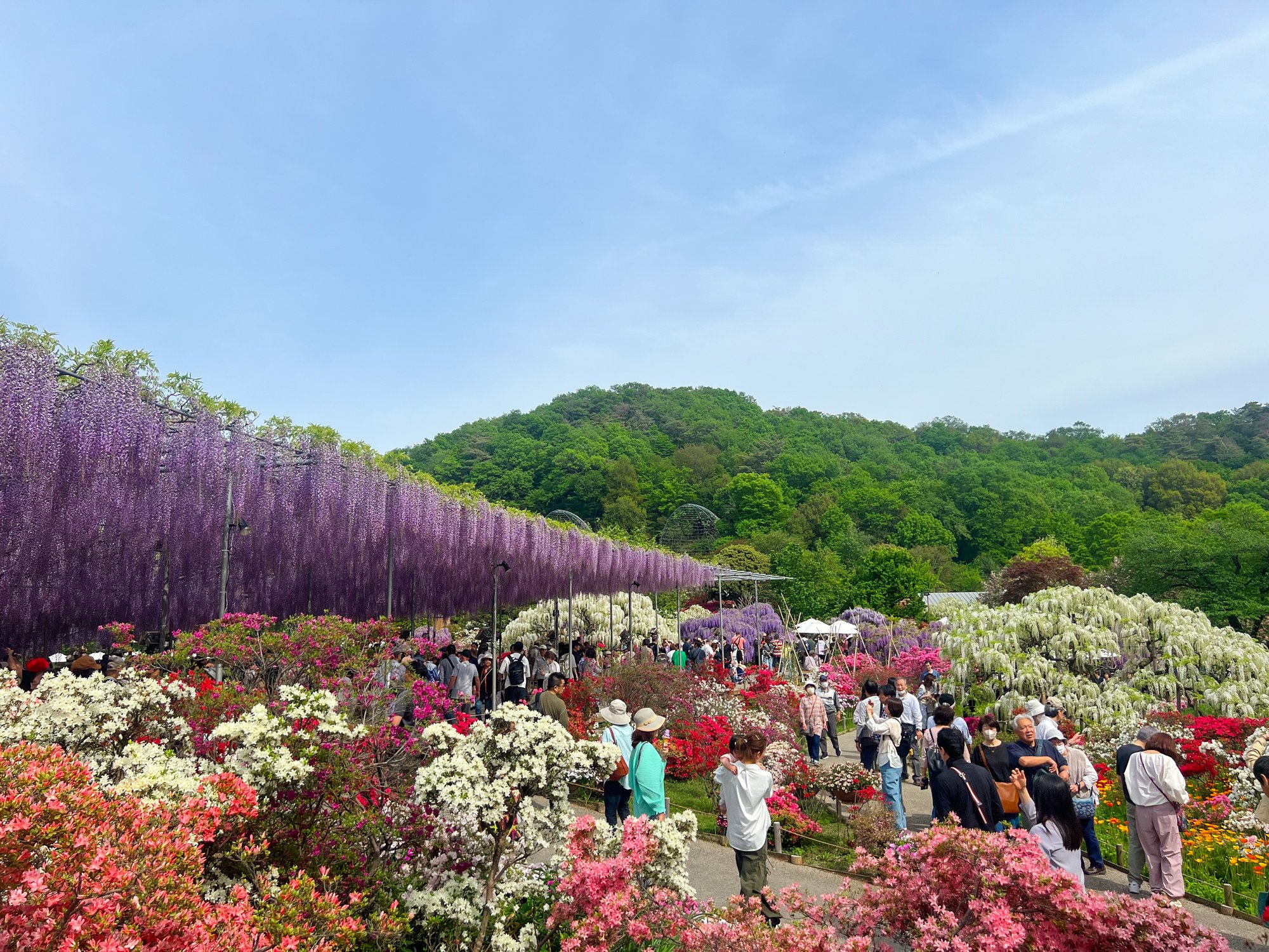 Ashikaga, Japan