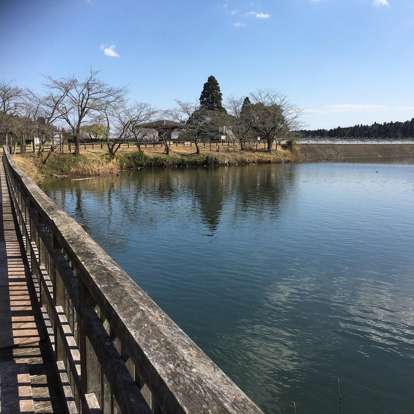 Oamishirasato, Japan