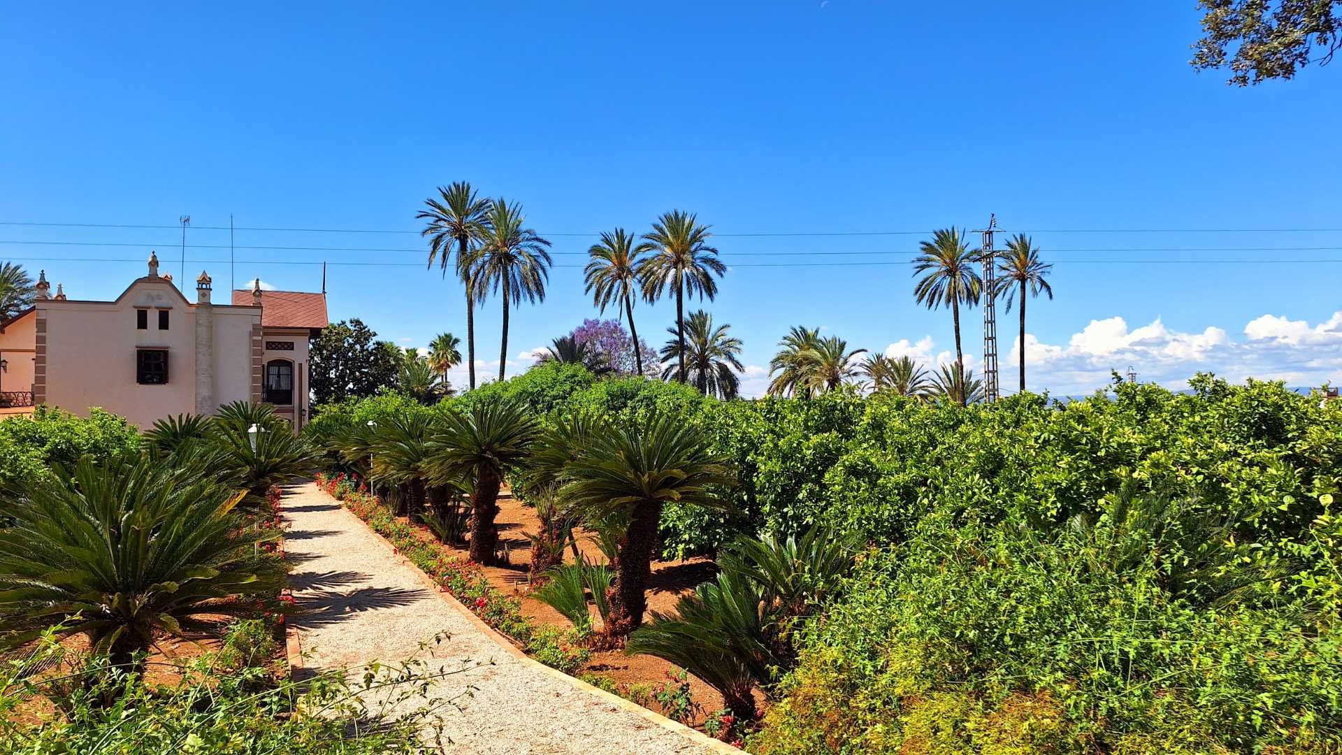Carcaixent, Spain