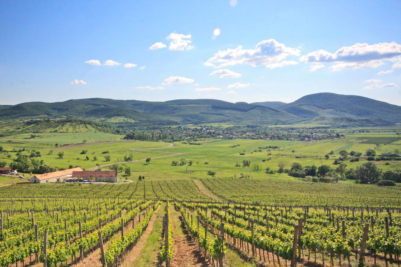 Erdőbénye, Hungary