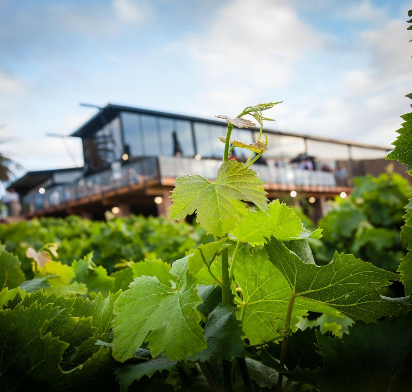 Herbertsdale, South Africa