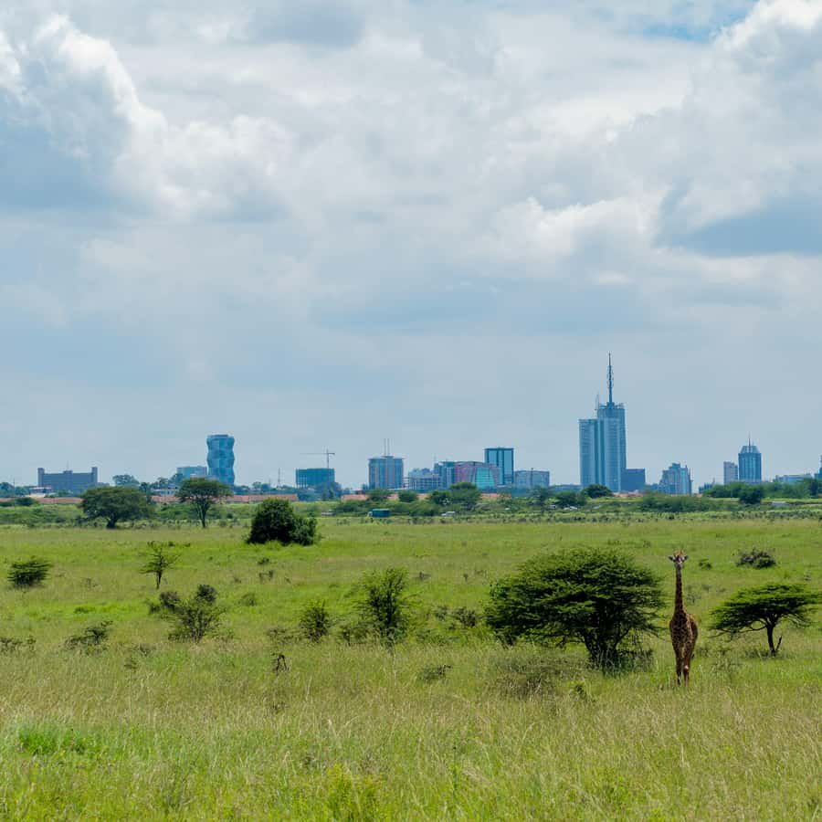 Maasai Mara National Reserve, Kenya