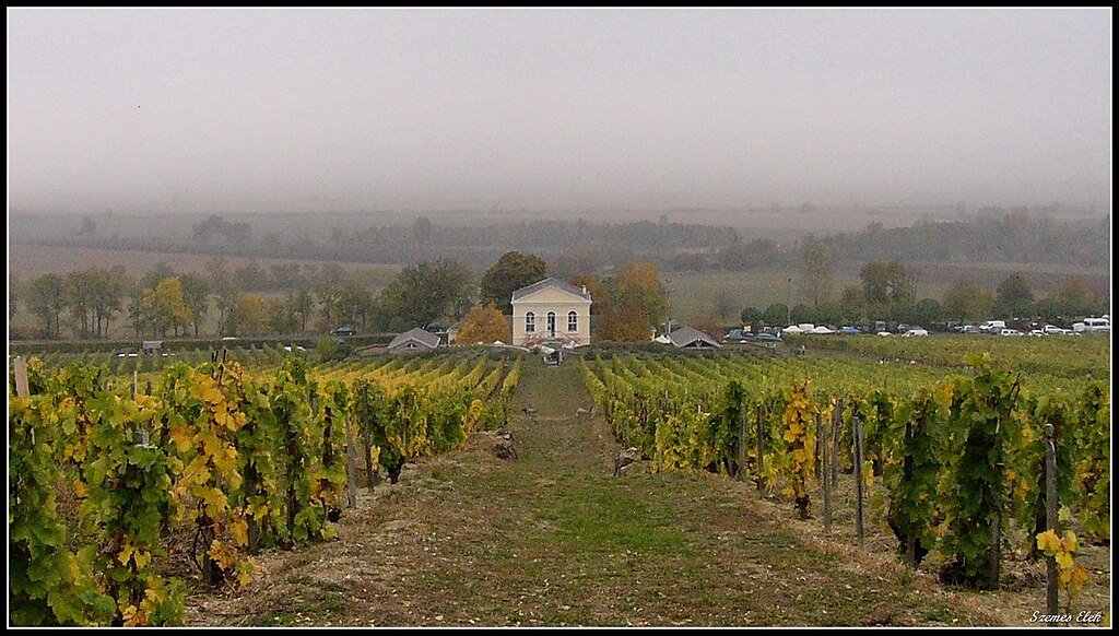Mezőzombor, Hungary