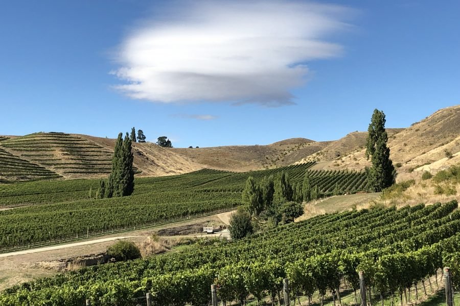 Bannockburn, New Zealand