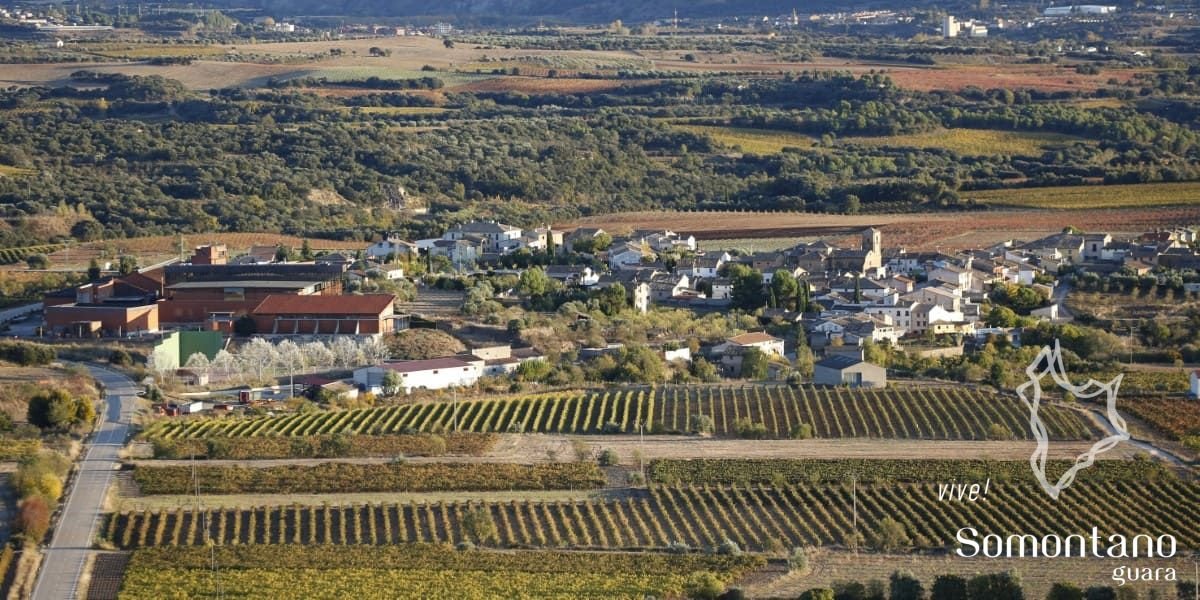 Salas Bajas (Somontano), Spain