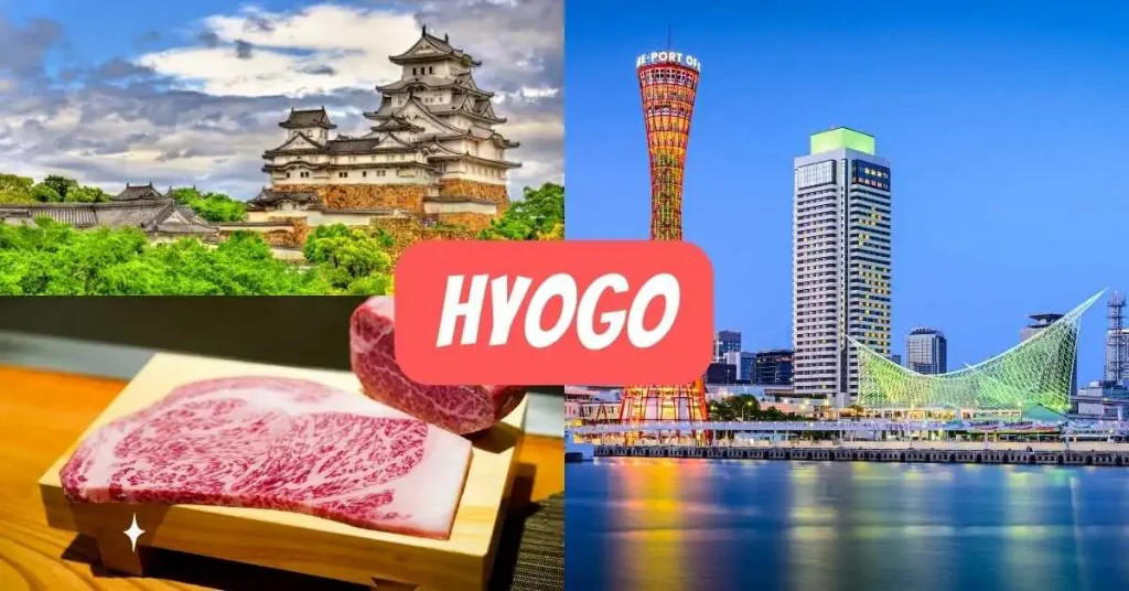 Hyogo, Japan