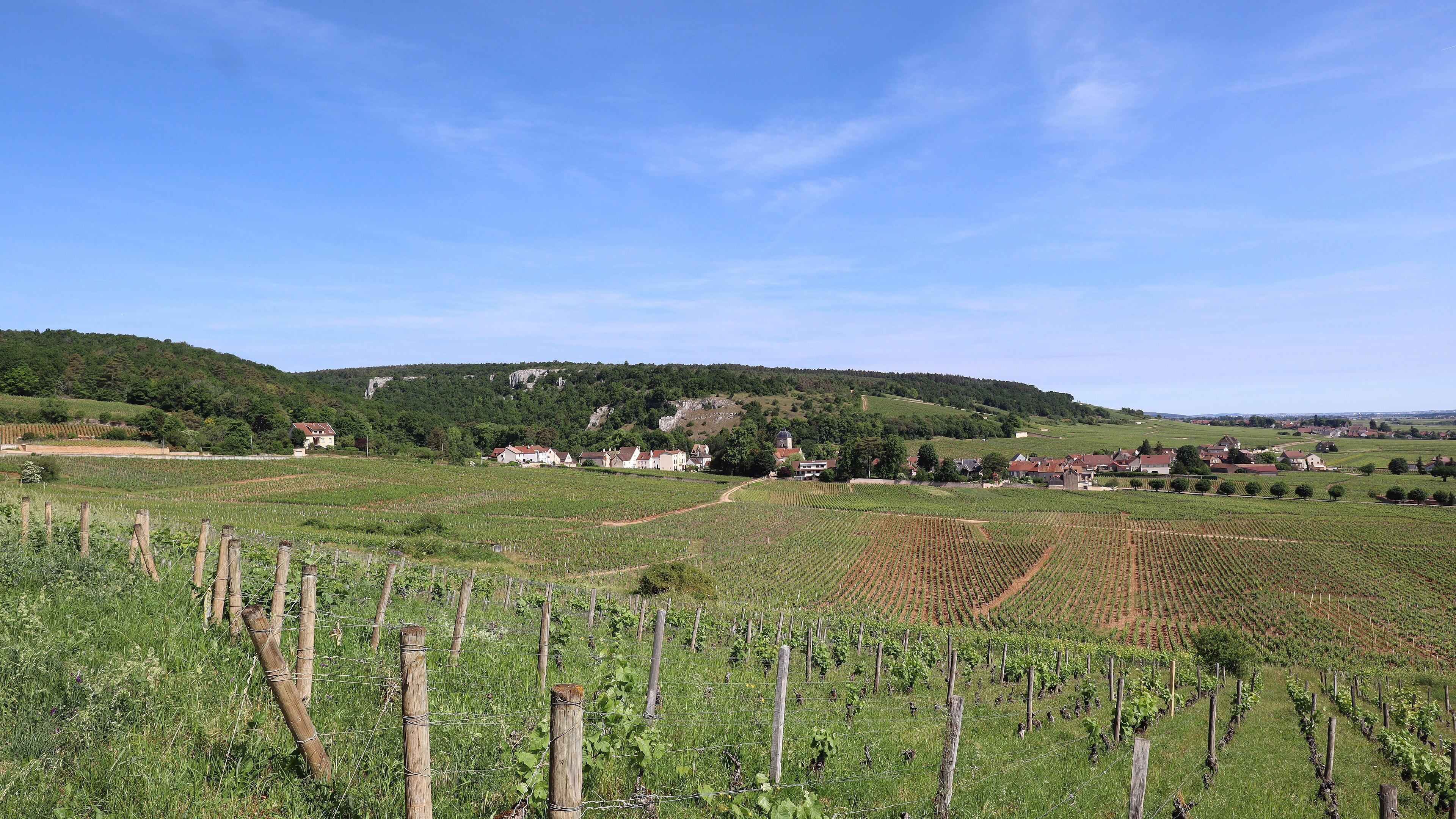 Chambolle-Musigny, France