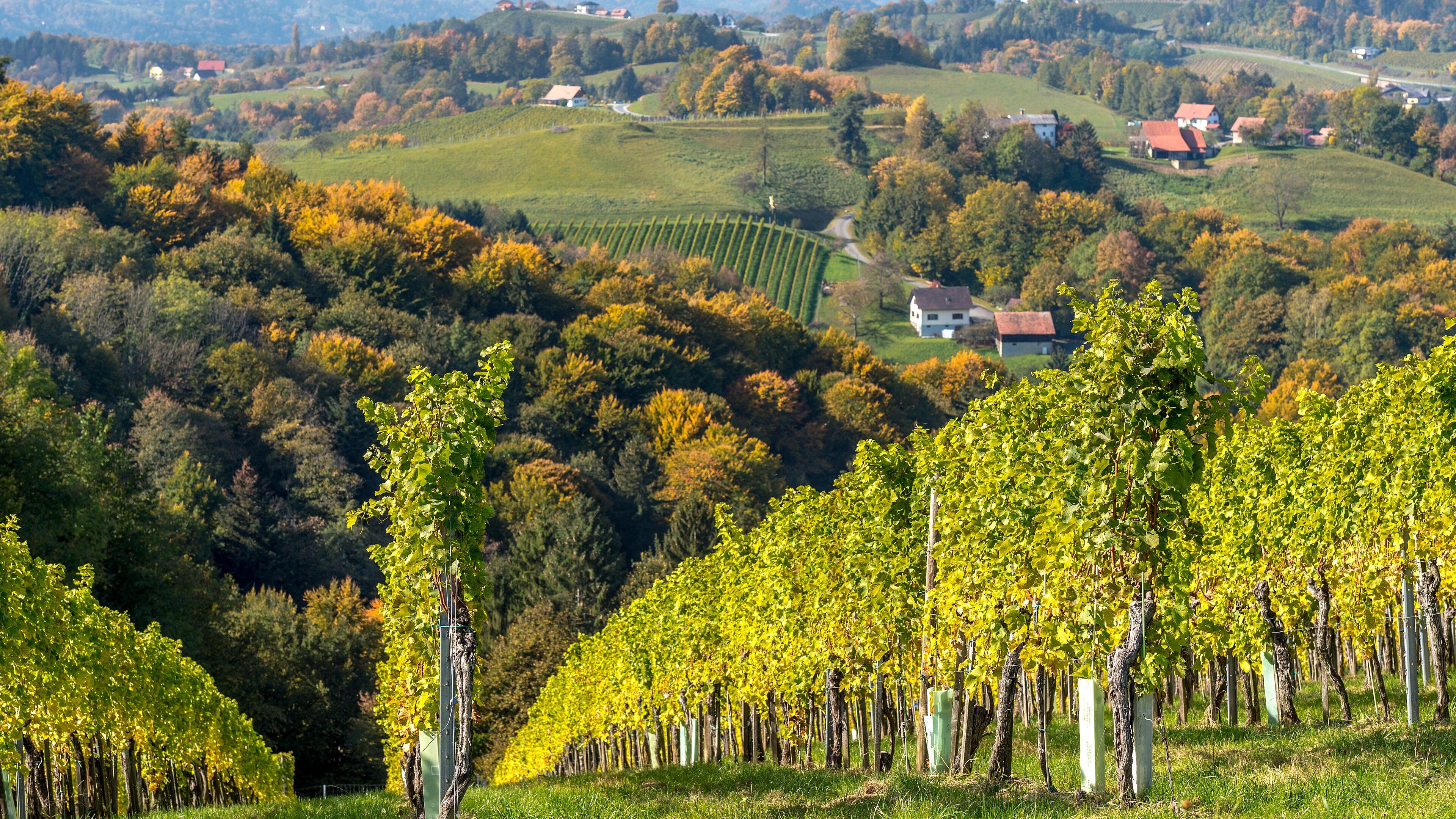 Gamlitz, Austria