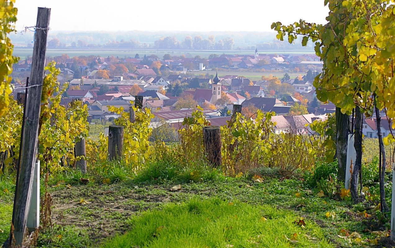 Gedersdorf, Austria