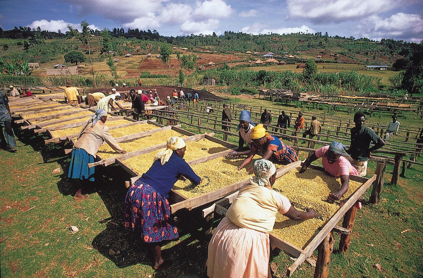 Nyeri, Kenya