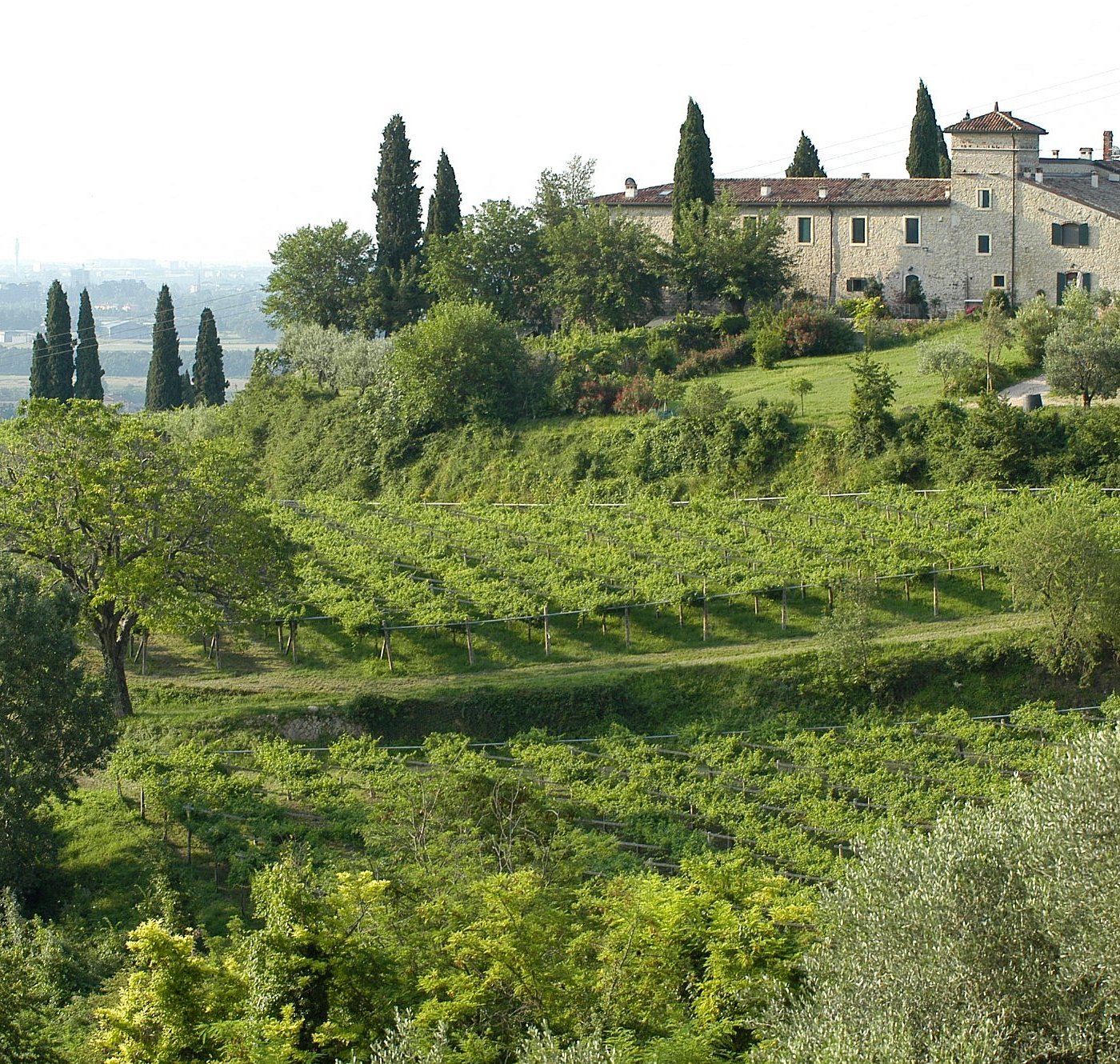 Pedemonte (San Pietro in Cariano), Italy