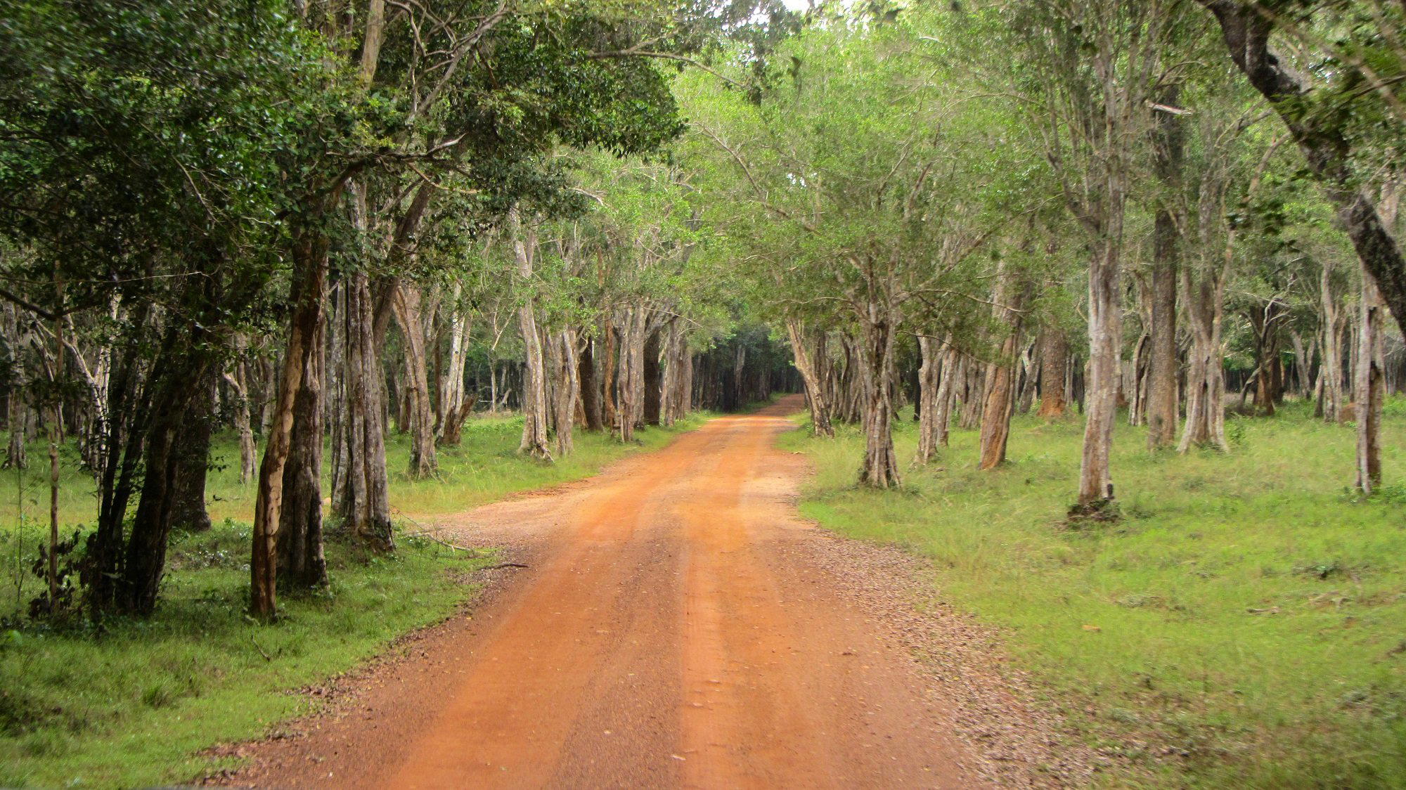Wilpattu, Sri Lanka