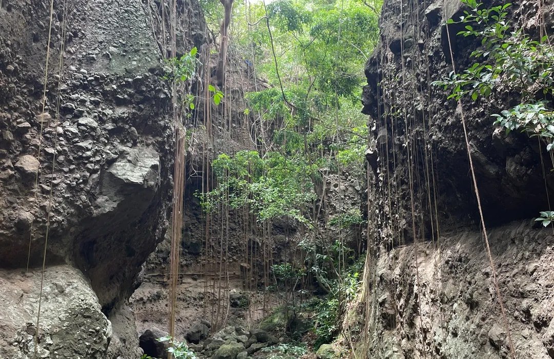 Palmetto Point, St Kitts And Nevis