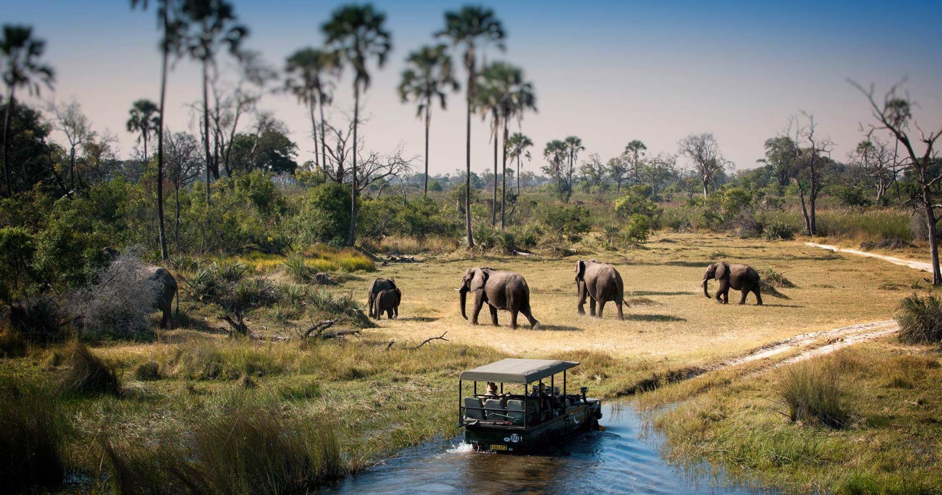 Chobe National Park, Botswana
