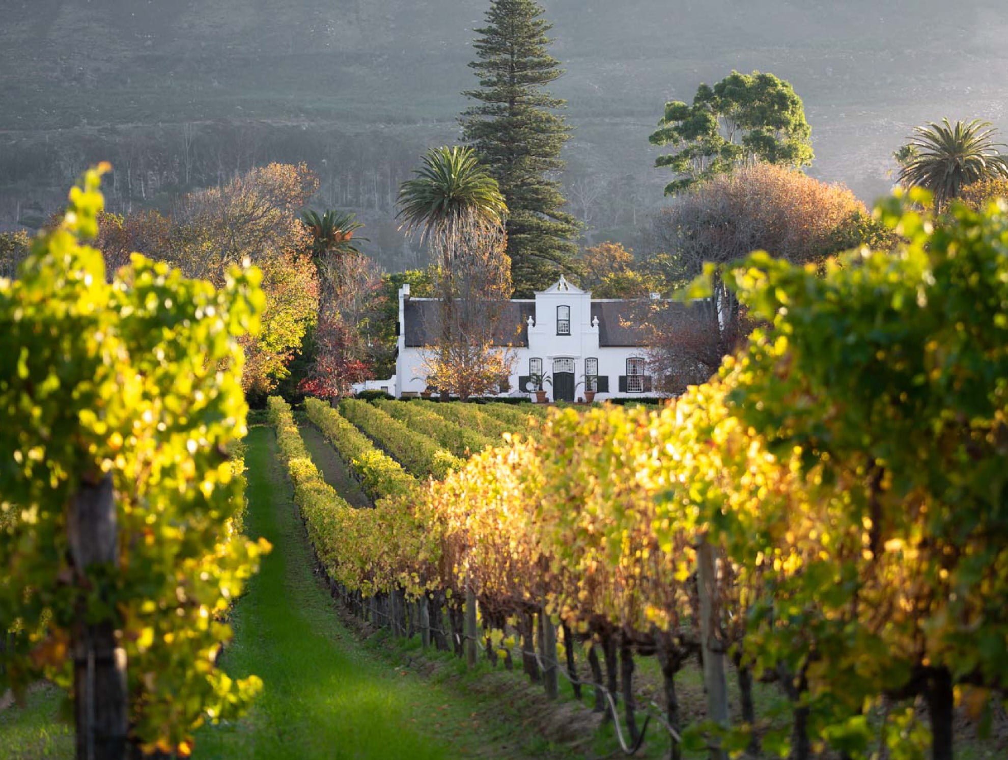 Constantia, South Africa