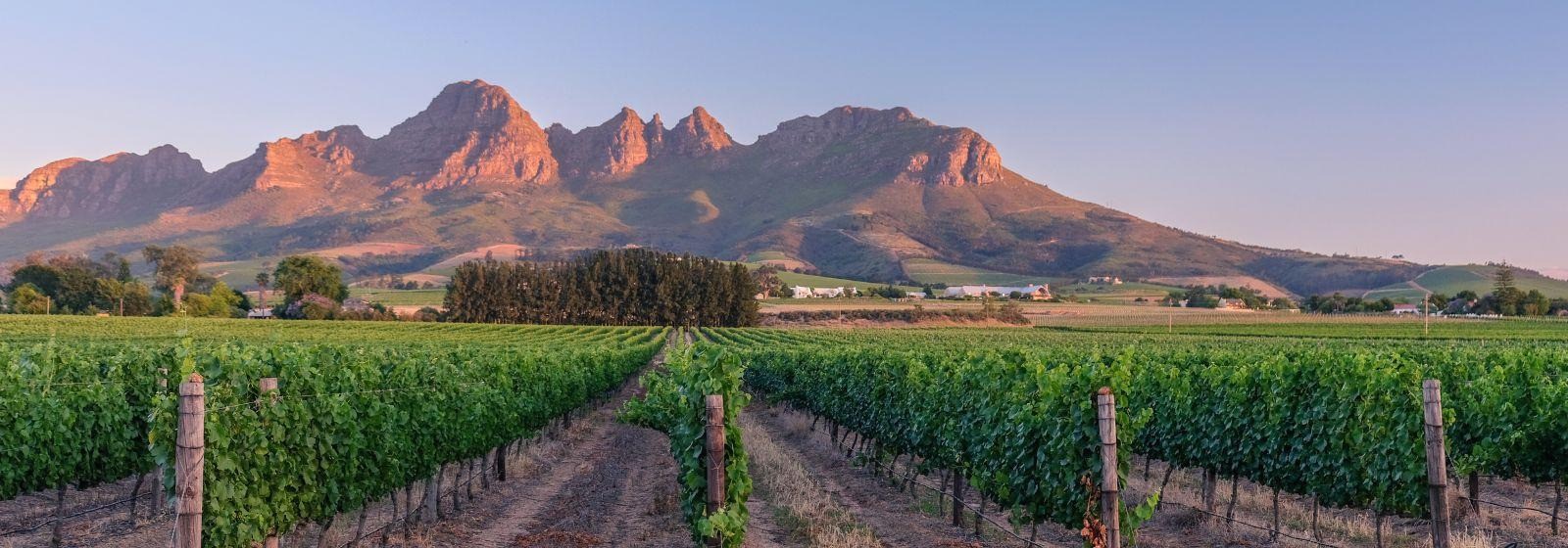 Stellenbosch, South Africa