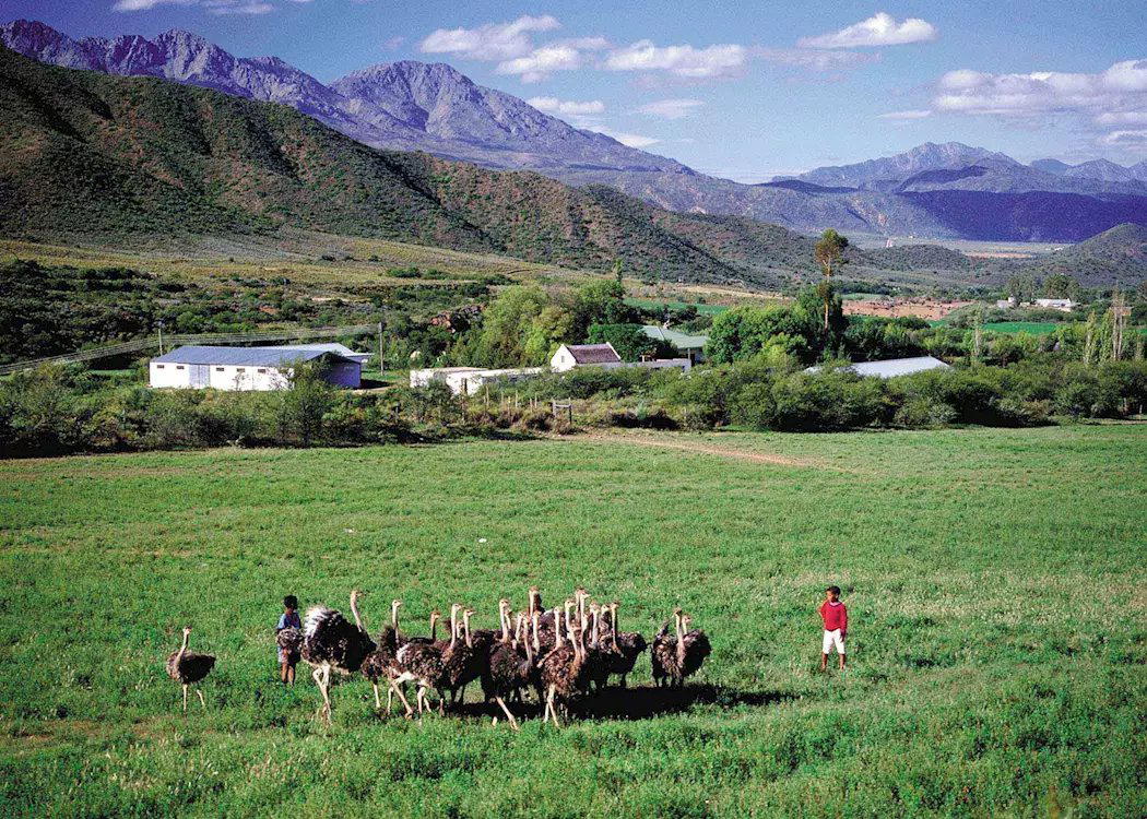 Calitzdorp, South Africa