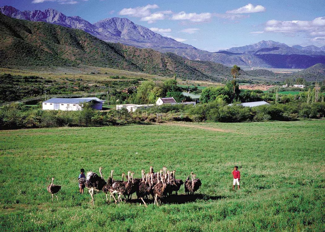 Calitzdorp, South Africa