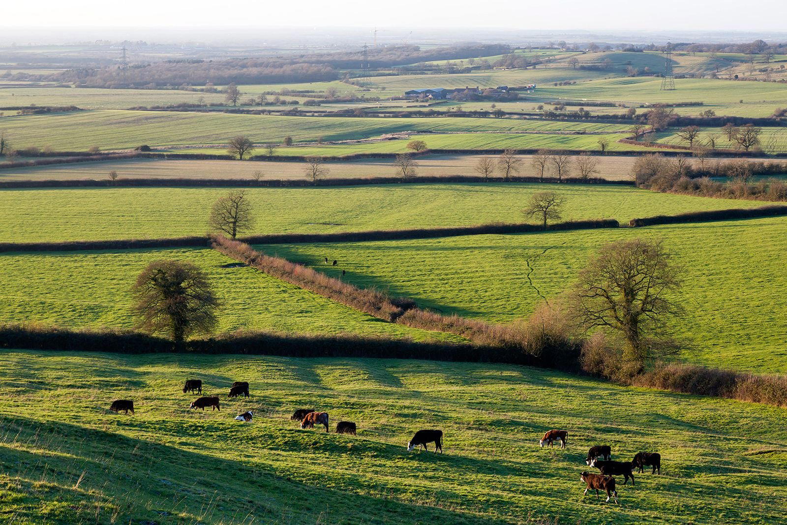 Vale, United Kingdom