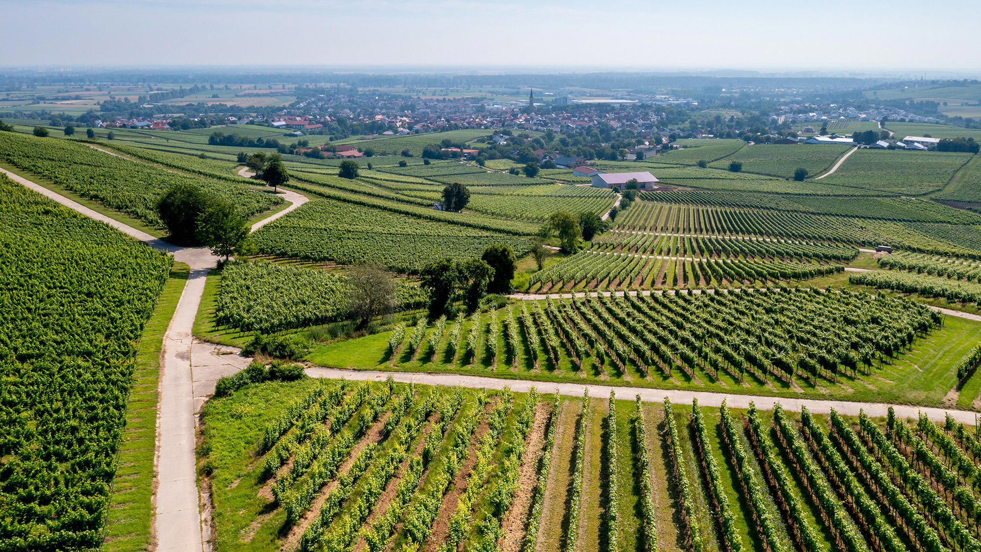 Bodenheim, Germany