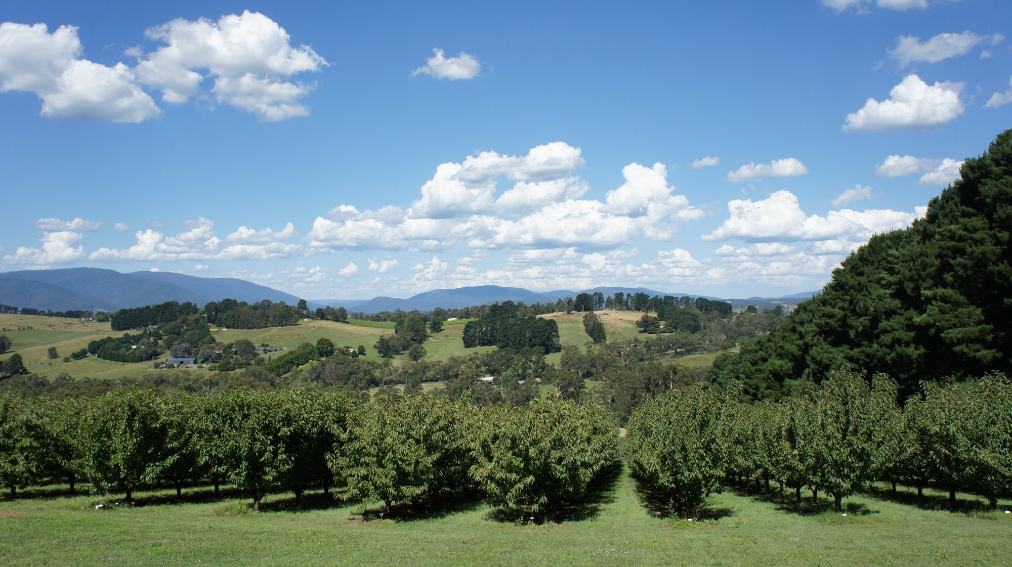 Yarra Valley, Australia