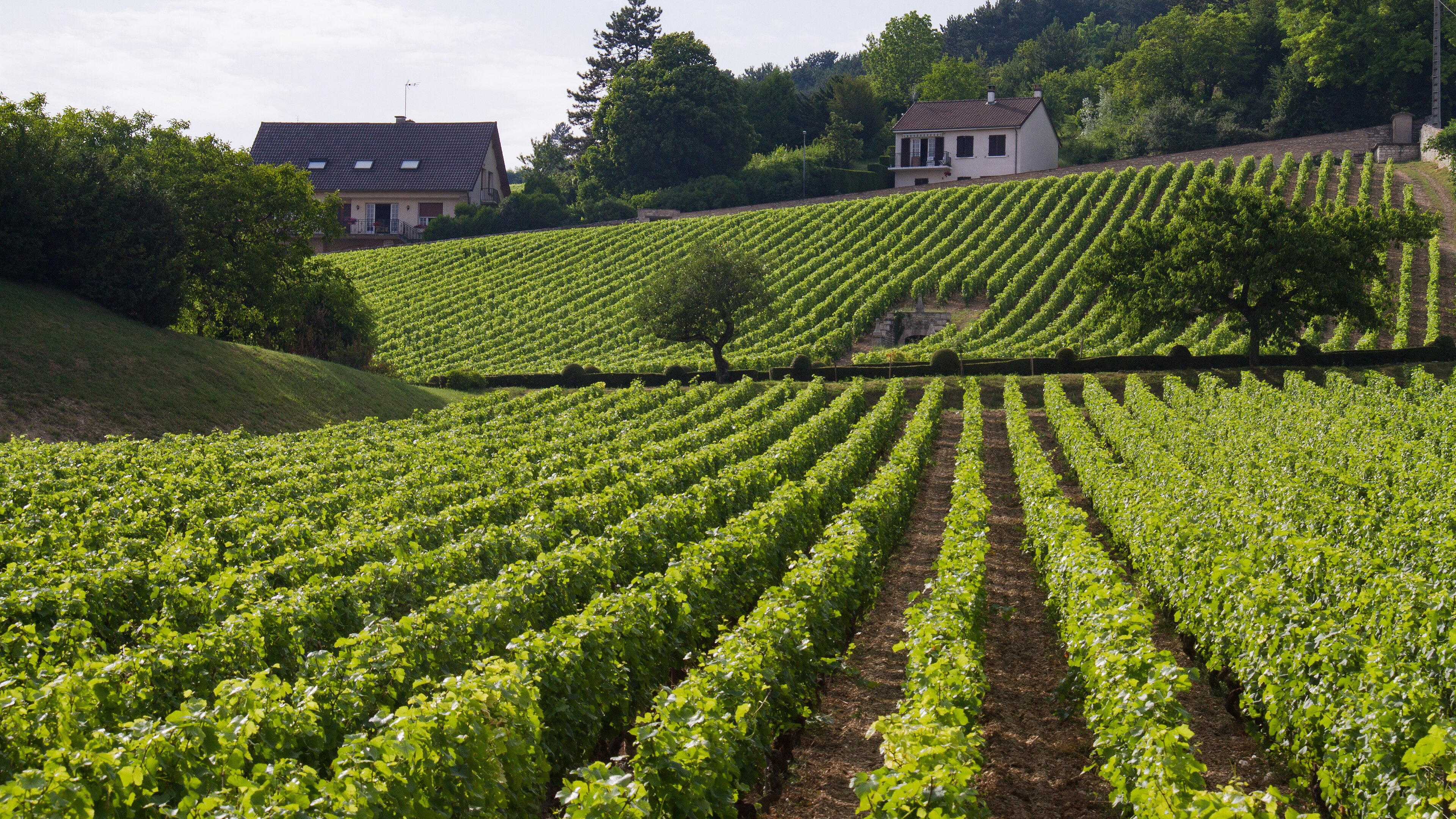 Volnay, France