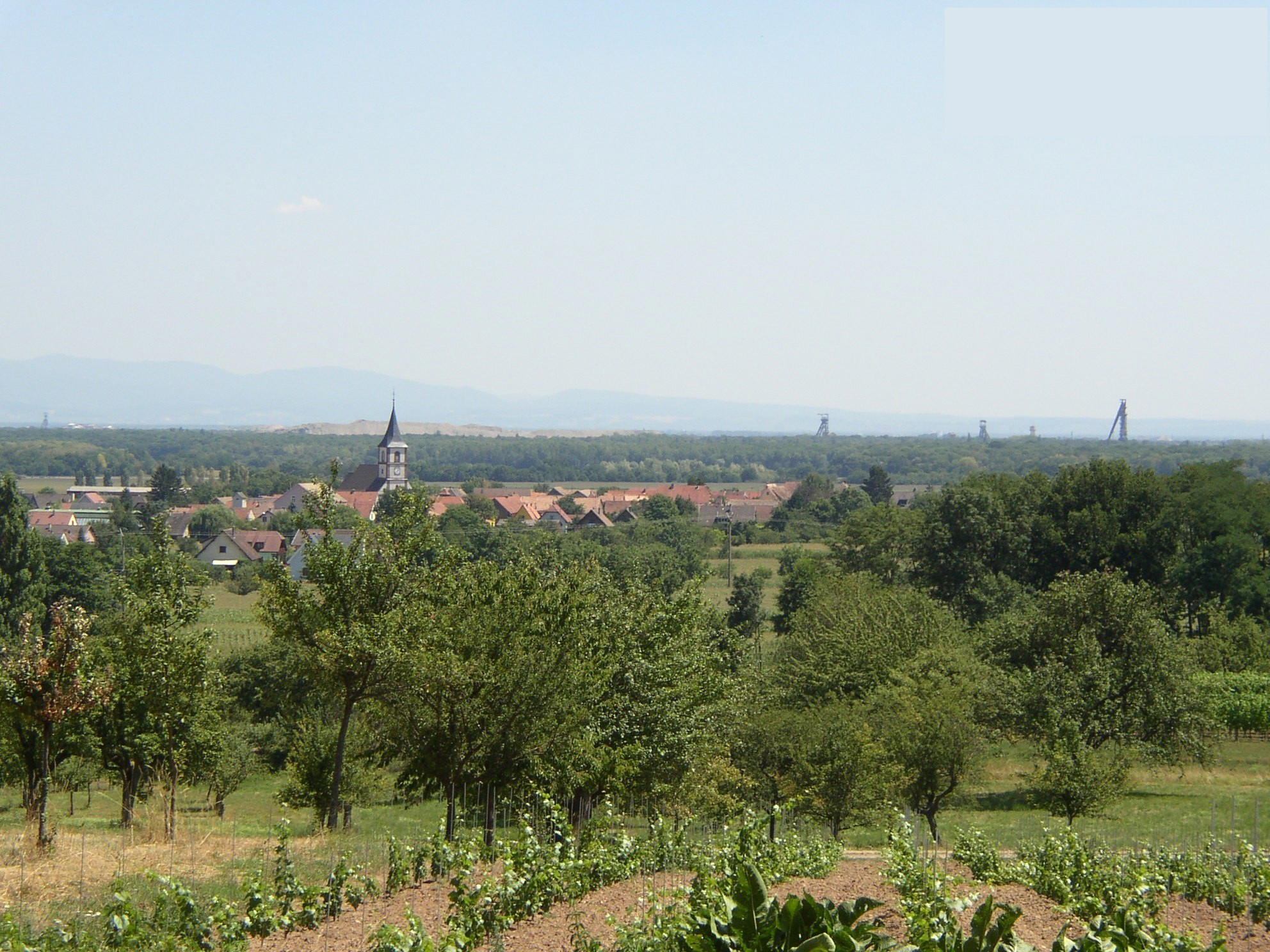 Berrwiller, France