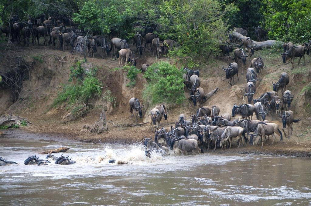 Kogatende, Tanzania