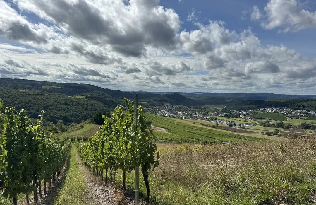 Konz-Oberemmel, Germany