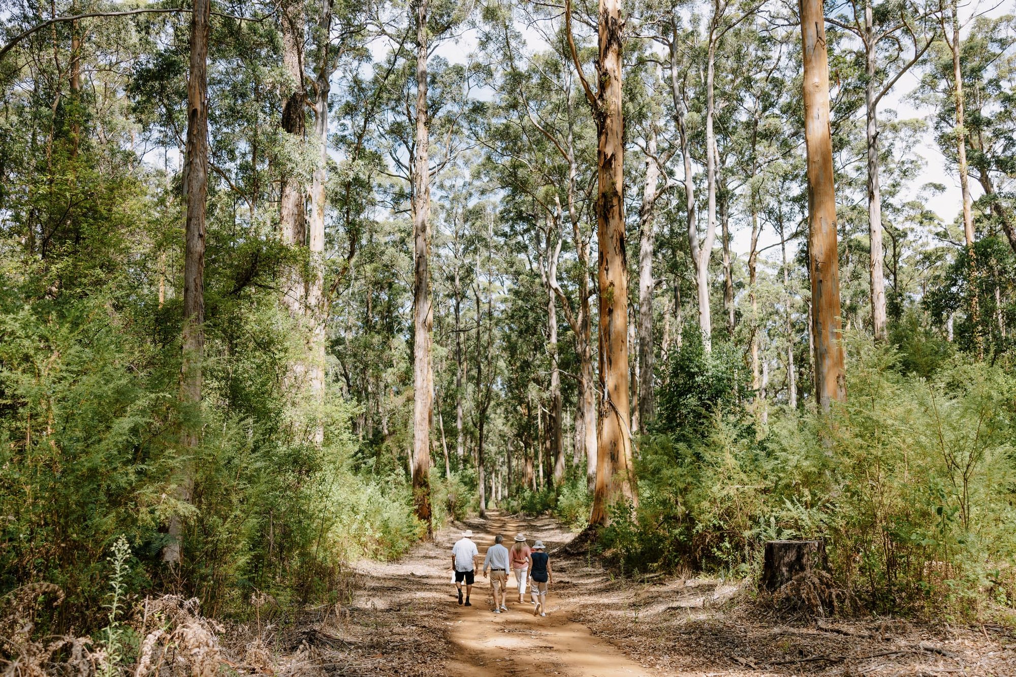 Pemberton, Australia