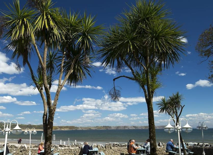 Oxwich, United Kingdom