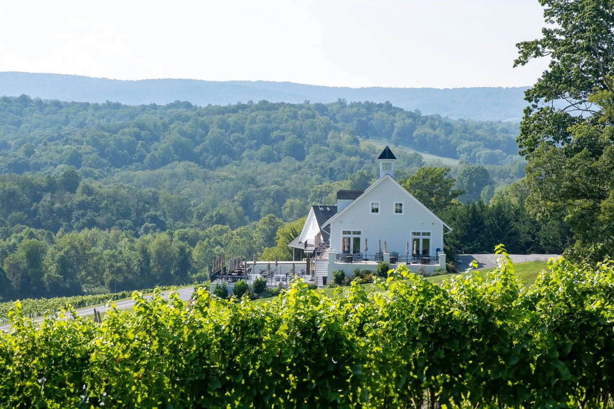 Delaplane, United States