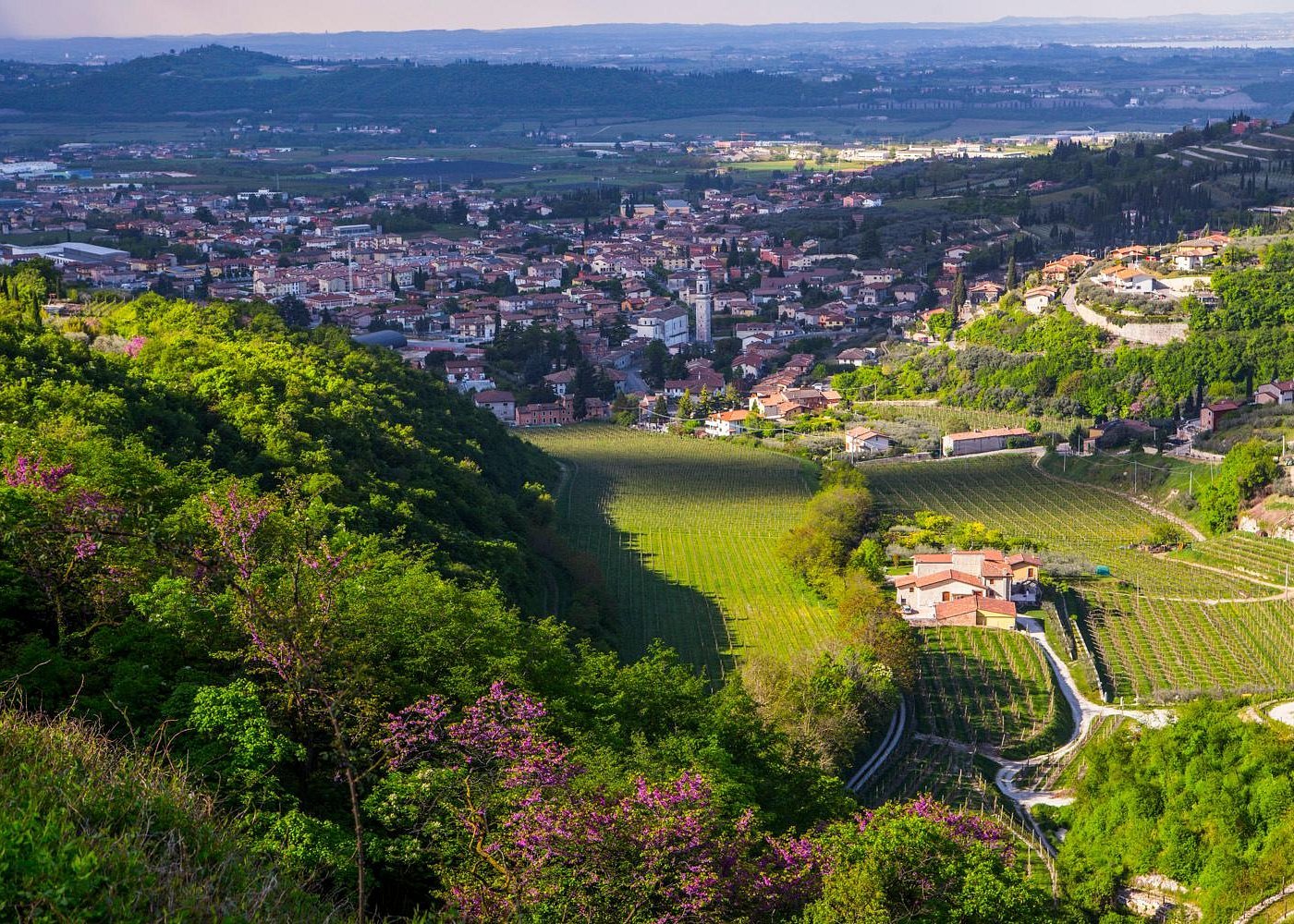 Sant'Ambrogio di Valpolicella, Italy