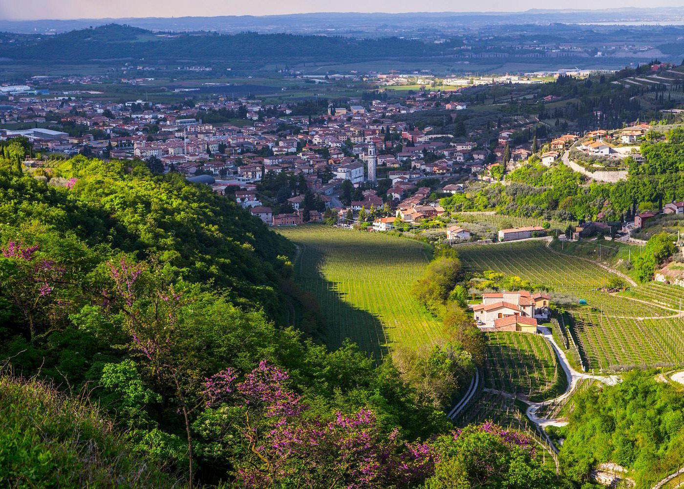 Sant'Ambrogio di Valpolicella, Italy