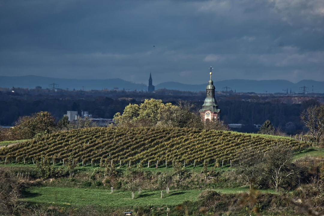 Burgundy, France