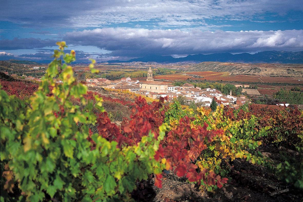 Cenicero, Spain