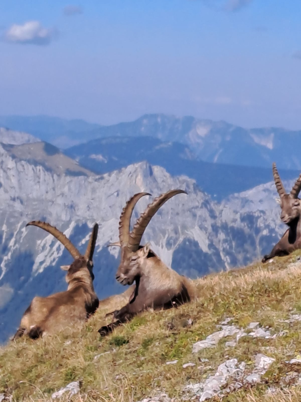 Turnau, Austria