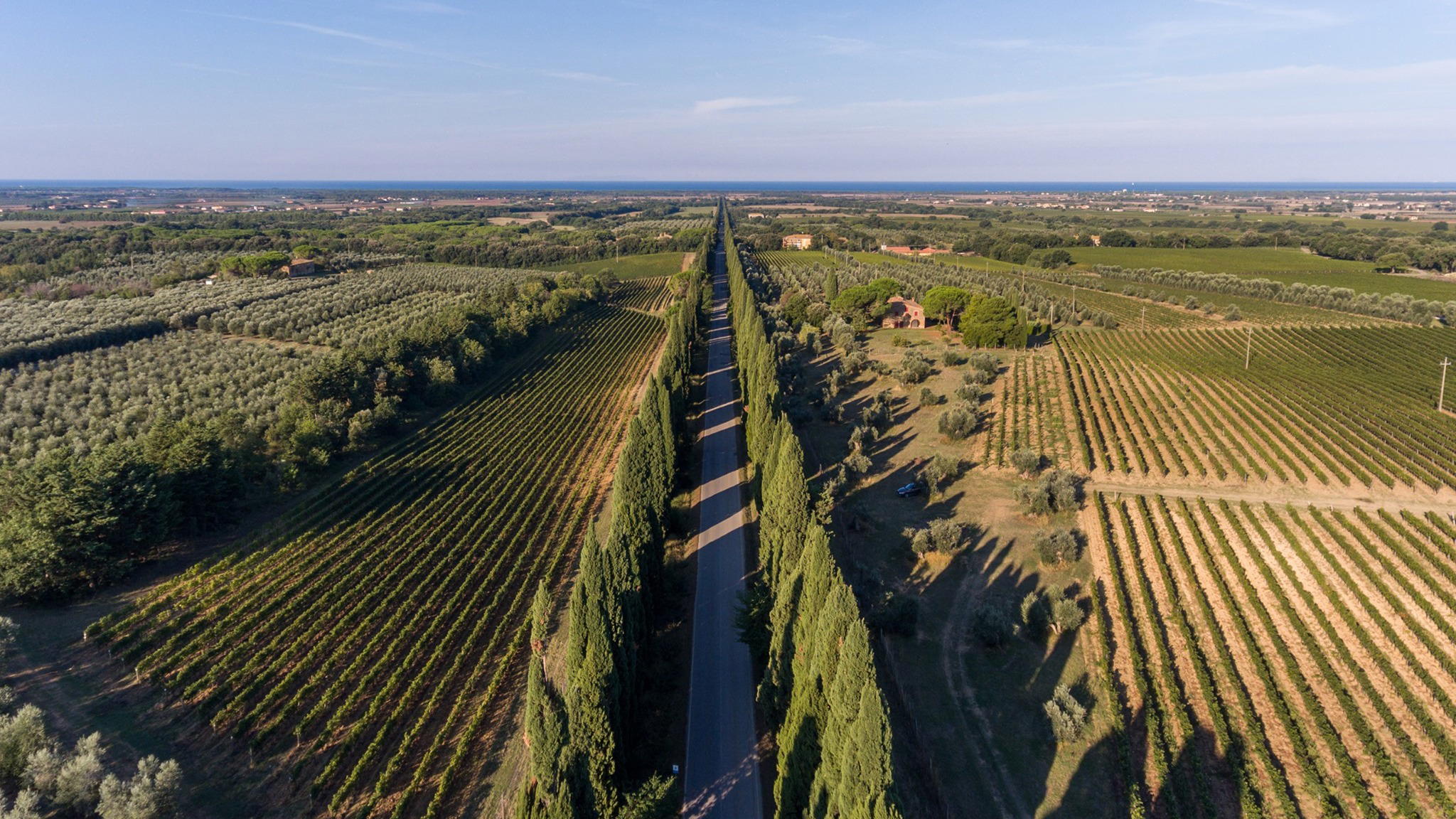 Bolgheri, Italy
