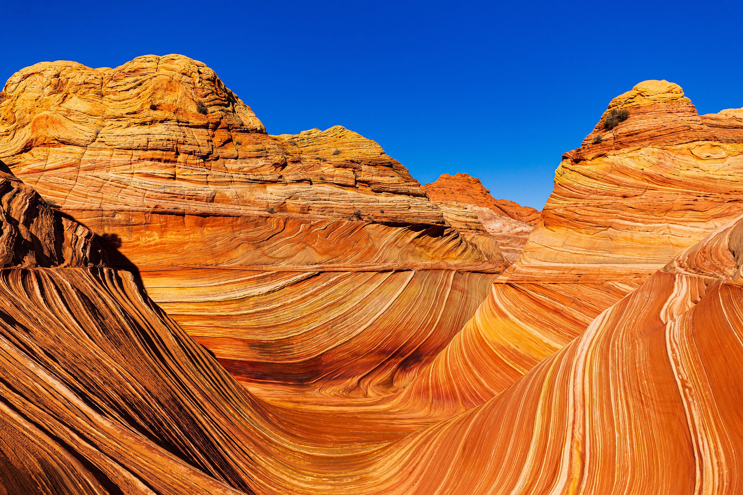 Canyon Point, United States