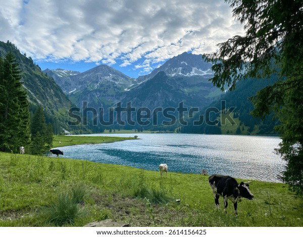 Weiden am See, Austria