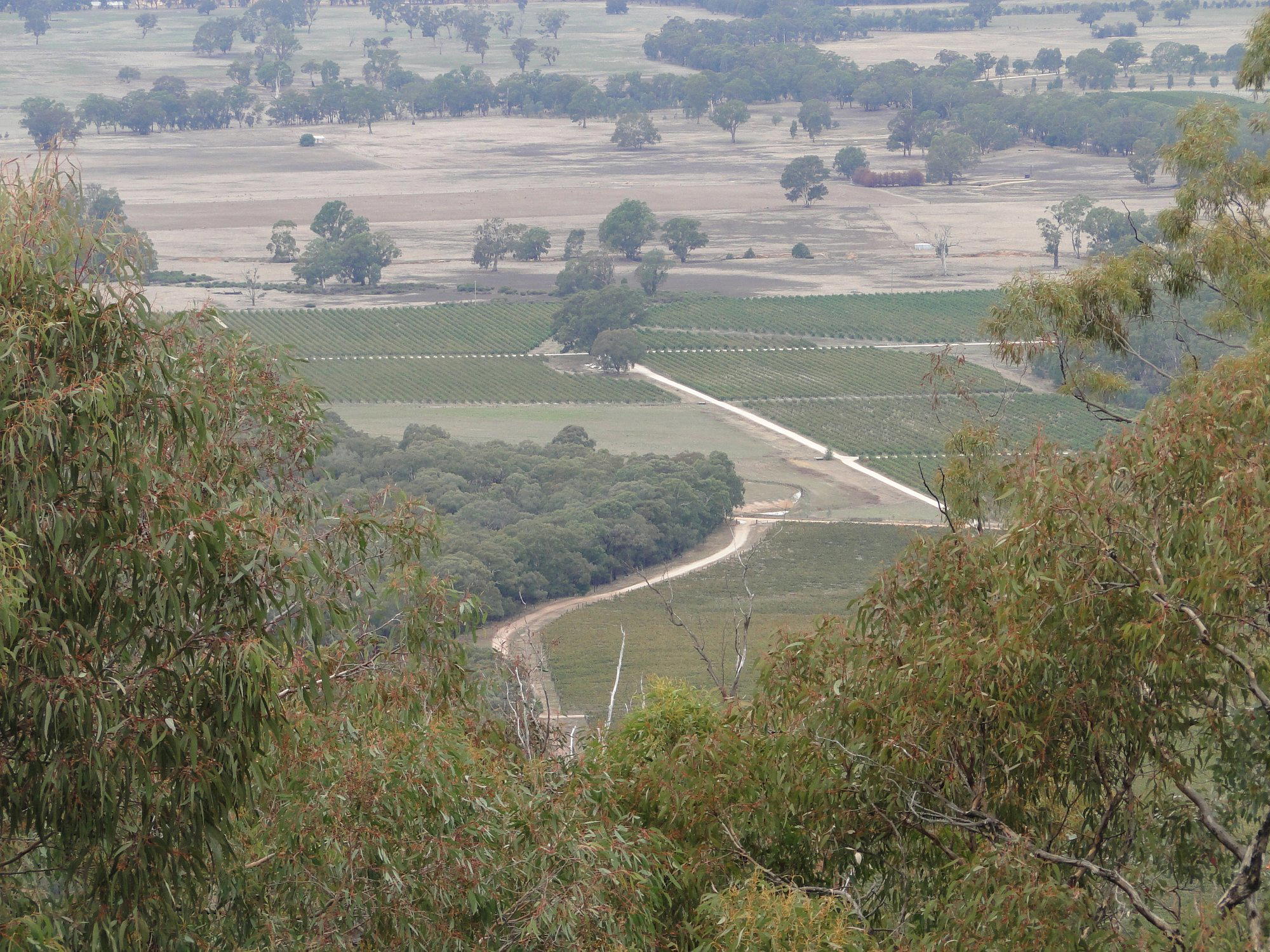 Pyrenees, Australia