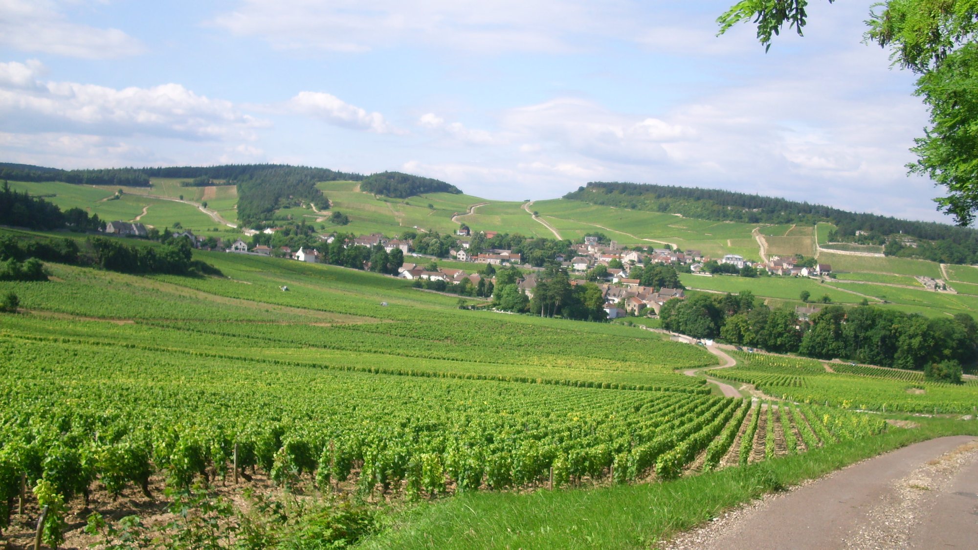 Mercurey, France