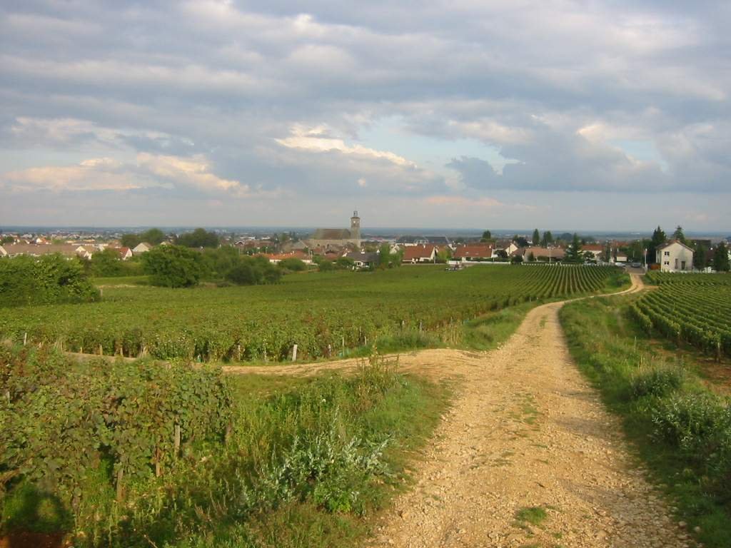 Marsannay, France