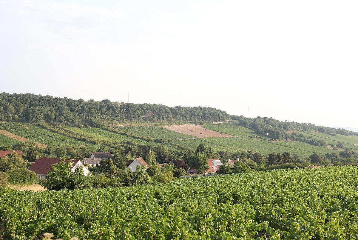 Bouzeron, France
