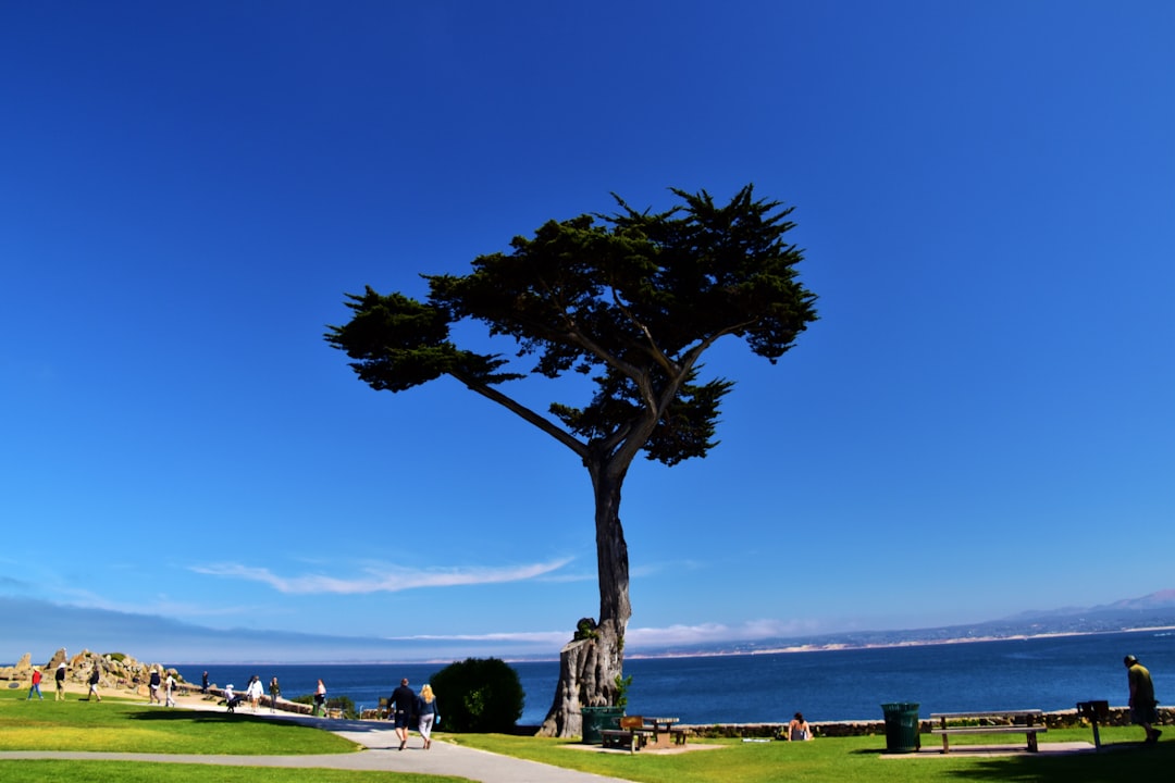 Monterey Park, United States