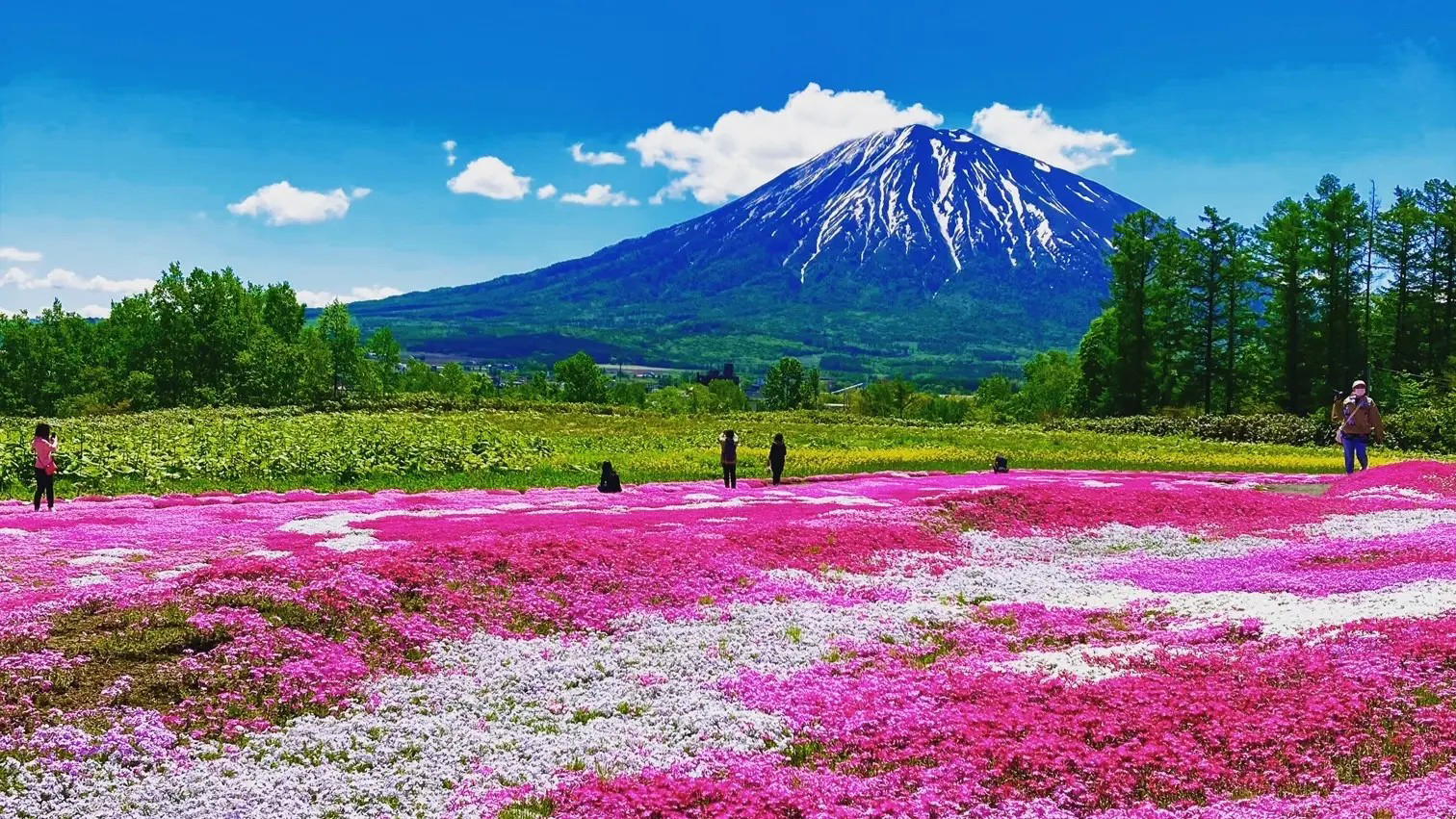 Kutchan, Japan